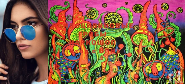 PSILOCYBIN Алексеевка