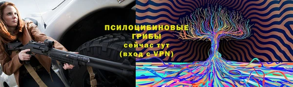PSILOCYBIN Алексеевка