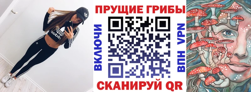 Псилоцибиновые грибы Psilocybine cubensis  Грязовец 